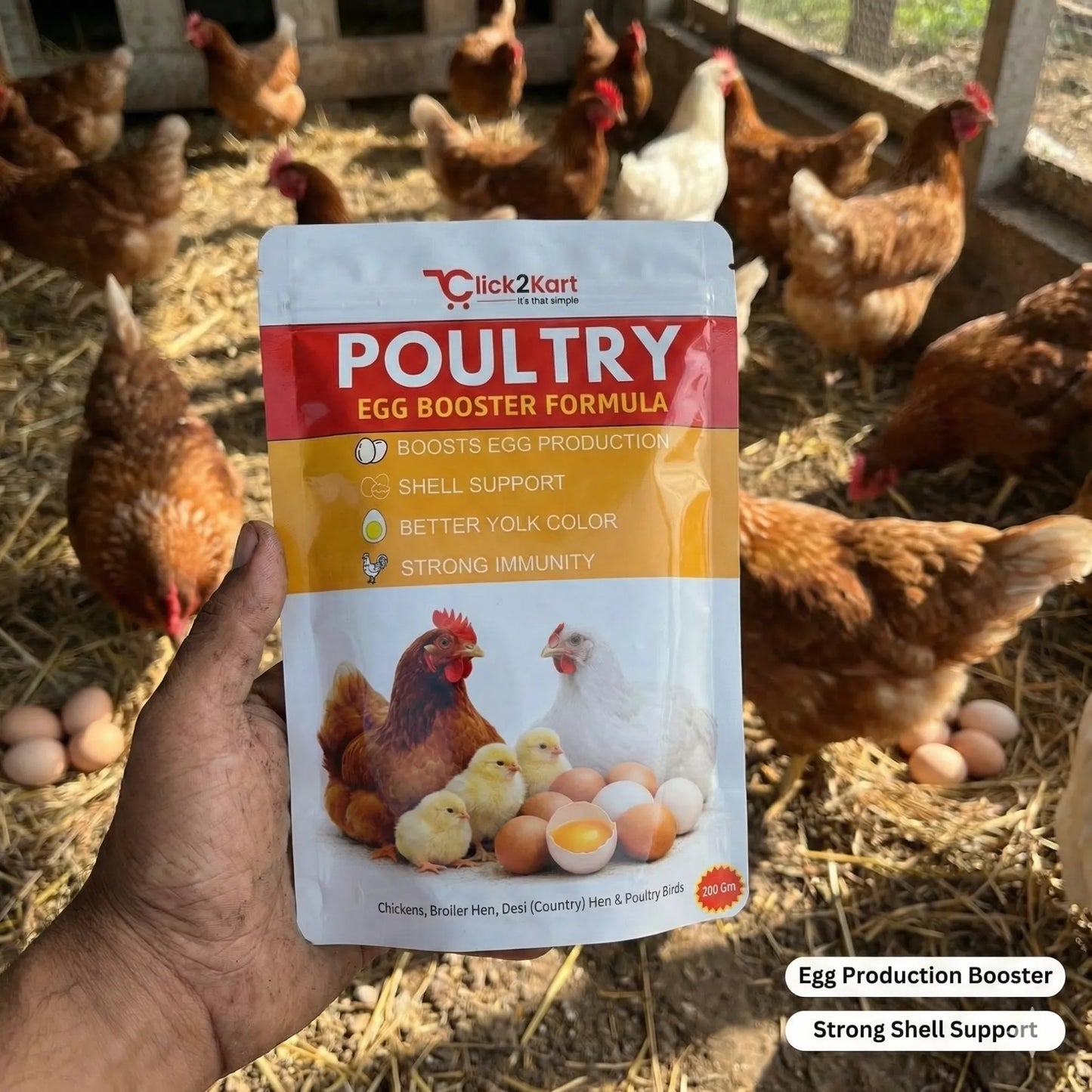 Poultry Egg Booster Formula – Boost Egg Production Naturally