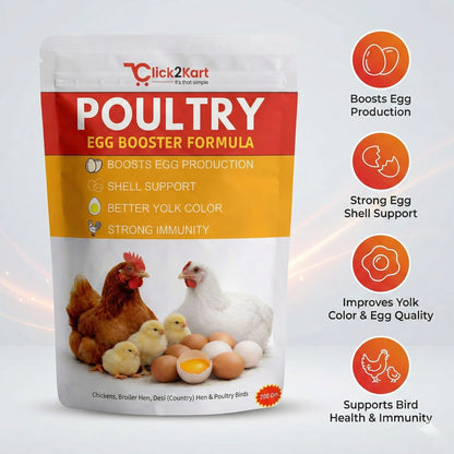 Poultry Egg Booster Formula – Boost Egg Production Naturally