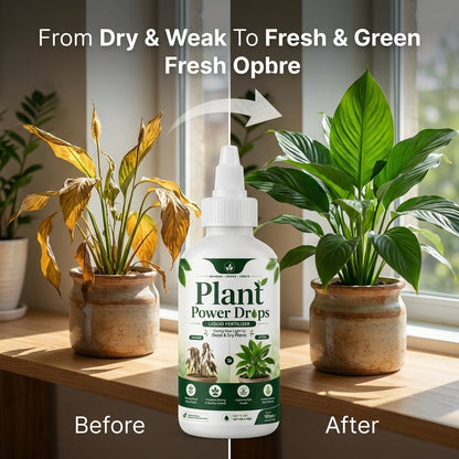 Plant Power Drops™ – Liquid Fertilizer For Plants